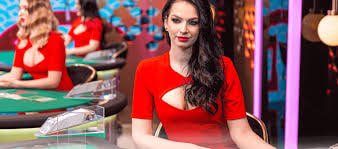 2D Zeekwat ဘင်ဂို 90-Ball ဂိမ်းတွင် Full House ဆုရသော ကစားသမားတစ်ဦး၏ ကတ်ပြားပြည့်သော မြင်ကွင်း